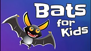 Bats for Kids [upl. by Ille]