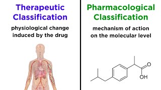 Categorizing Drugs Classes Names and Schedules [upl. by Nitsyrk225]