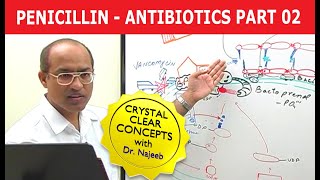 Penicillin  Antibiotics  Dr Najeeb  Part 24 [upl. by Kerwin989]