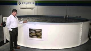 Custom Fiberglass Tanks  PAES WATER Product Showcase [upl. by Petras]