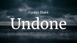 Undone  Forest Blakk  FULL SONG LYRICS [upl. by Gwenora316]