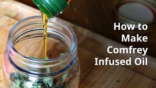 How Make Comfrey Oil  10 Ways to Use It [upl. by Schnell]