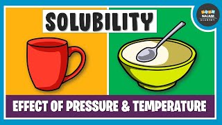 What is Solubility Chemistry [upl. by Davida]