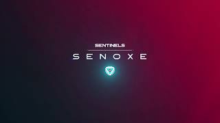 SEN senoxe  highlights 73 [upl. by Aubert600]