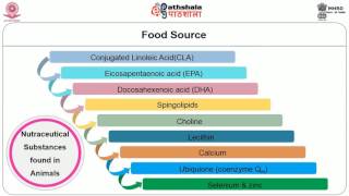 Classification of functional foods and nutraceuticals [upl. by Akemehs]