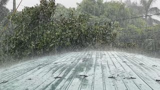 Sleep Easily with Terrible Rain and Heavy Thunderstorm on Tin Roof  Rain Sounds for Sleeping [upl. by Kerekes728]