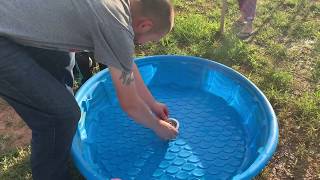 DIY Easy Drain Duck Pool [upl. by Ahseinet]