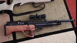 Evanix Max Air 30  best semiautomatic airgun ever [upl. by Adnof938]