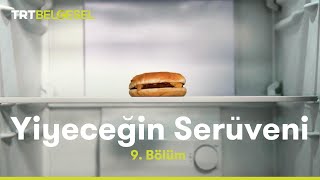 Yiyeceğin Serüveni  Dondurulmuş Gıdalar  TRT Belgesel [upl. by Roscoe]