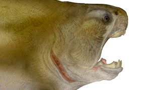 Paleo Profile  Dunkleosteus [upl. by Marji376]