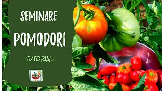 Seminare i pomodori ecco come e quando Tutorial completo [upl. by Constance]