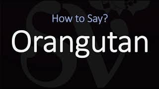 How to Pronounce Orangutan CORRECTLY [upl. by Enyaw]