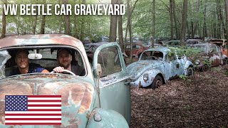 URBEX  Volkswagen Beetle T1 amp T2 graveyard  2017 [upl. by Yrebmik723]