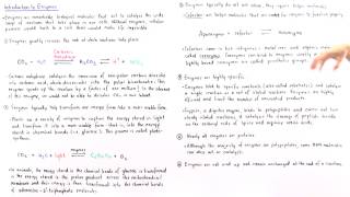 Properties of Enzymes [upl. by Ennylhsa93]