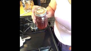 DIY Astragalus elixiramp tincture [upl. by Jovia]