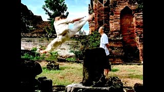 Kickboxer 1989  The Tree scene  Training sequences HD  VAN DAMME [upl. by Lizzie]