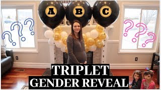 EPIC TRIPLET Gender Reveal  1 IN 30000 CHANCE [upl. by Aramac444]