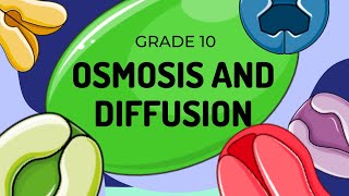 Diffusion and Osmosis [upl. by Hole]