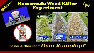 Homemade Weed Killer Experiment P1 [upl. by Vaasta]