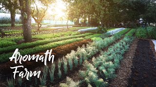 AMAZING Small Farm in France Under TREES  Aromath Farm [upl. by Nnayelhsa]