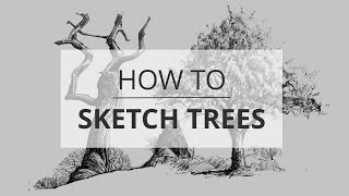 How to Sketch amp Draw Trees [upl. by Etessil]