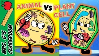 WHAT IS THE DIFFERENCE BETWEEN PLANT AND ANIMAL CELL [upl. by Hanfurd]