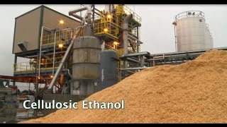 Renewable Biofuels and Biochemicals Cellulosic Ethanol [upl. by Erreid47]