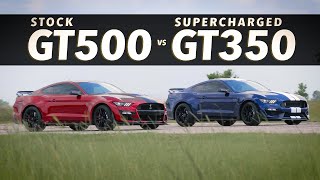 GT500 Mustang vs Supercharged GT350 Mustang  Roll Race Comparison [upl. by Silvestro840]