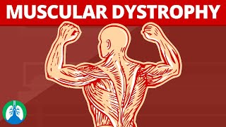 Muscular Dystrophy Medical Definition  Quick Explainer Video [upl. by Ahsie]