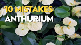 10 MISTAKES Growing Anthuriums  Flamingo Flower Care Tips [upl. by Nedarb]