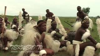 Celebrating Zulu Heritage Through Tribal Dance [upl. by Cly]