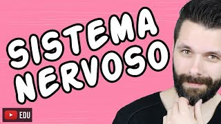 SISTEMA NERVOSO  FISIOLOGIA  Aula  Biologia com Samuel Cunha [upl. by Ainocal]