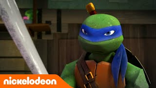 Teenage Mutant Ninja Turtles  Die ersten Kämpfe  Nickelodeon Deutschland [upl. by Llireva475]