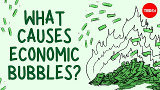 What causes economic bubbles  Prateek Singh [upl. by Ilenna]