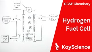 Hydrogen Fuel Cell Explained  GCSE Chemistry  kaysciencecom [upl. by Deeyn]