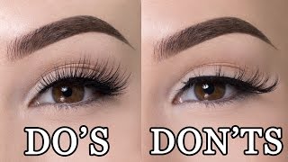 FALSE LASHES DOS amp DONTS [upl. by Livvie]