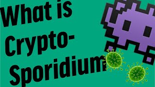 What is Cryptosporidium [upl. by Lledniuq]