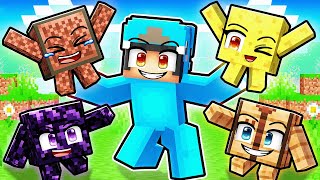 Blocks Are PETS In Minecraft [upl. by Neal]