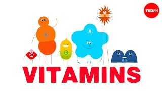 How do vitamins work  Ginnie Trinh Nguyen [upl. by Morgan]