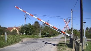 Spoorwegovergang Magyarbóly H  Railroad crossing  Vasúti átjáró [upl. by Ahsilav]