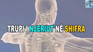 TRUPI I NJERIUT NË SHIFRA PËRBËRJA E NJERIUT [upl. by Judon]