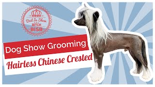 Dog Show Grooming How To Groom a Hairless Chinese Crested [upl. by Menzies]