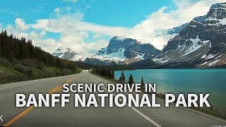 SCENIC DRIVE  Banff National Park Icefields Pkwy Alberta CANADA Travel [upl. by Paehpos]