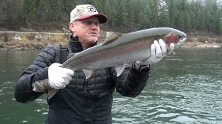 Clearwater River Idaho Steelhead Fishing Side drifting amp back trolling [upl. by Nylram]