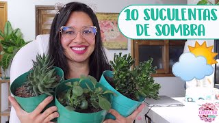 10 SUCULENTAS DE SOMBRA│Candy Bu [upl. by Jenilee]