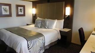 Dont Get This Stateroom  Oosterdam Signature Suite 8087 [upl. by Chadburn]