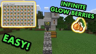 SIMPLE 121 AUTOMATIC GLOW BERRY FARM TUTORIAL in Minecraft Bedrock MCPEXboxPS4SwitchWindows10 [upl. by Aninat]