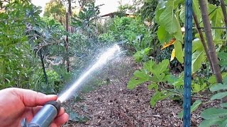 Foliar Spray Plant Fertilization  How When amp Why [upl. by Mehsah]