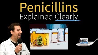 Penicillins  Antibiotics Explained Clearly [upl. by Ahsenauj]