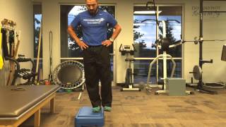 BEST Quad Exercise  Eccentric Step [upl. by Tildie]